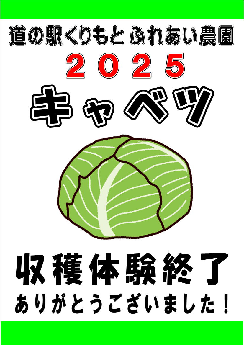12/24(水)キャベツ収穫体験終了